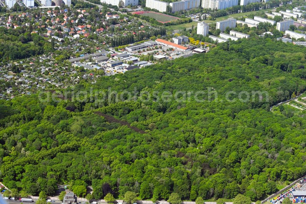 Berlin from the bird's eye view: Grave rows on the grounds of the cemetery Juedischer Friedhof Weissensee on Herbert-Baum-Strasse in the district Weissensee in Berlin, Germany