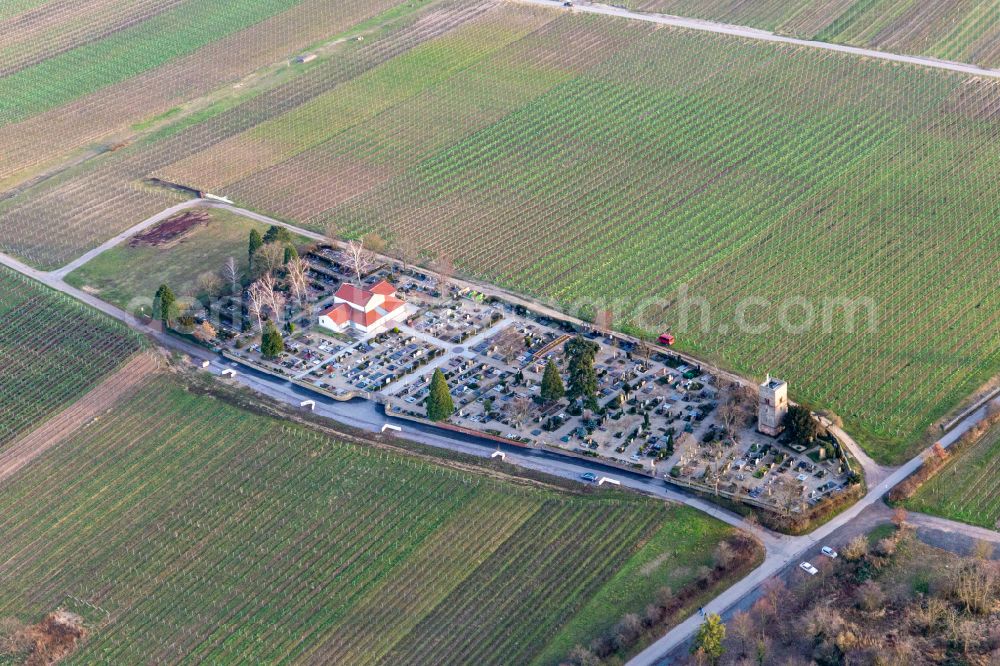 Freinsheim from the bird's eye view: Grave rows on the grounds of the cemetery between wine-yards in Freinsheim in the state Rhineland-Palatinate, Germany