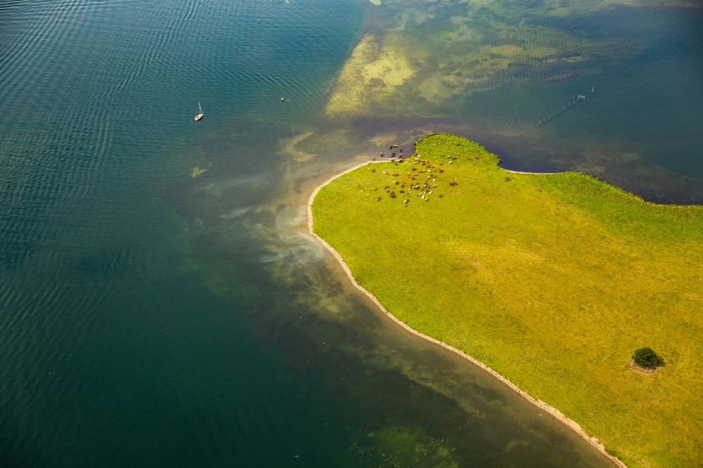 Aerial photograph Ludorf - Grass area-structures meadow pasture with cow - herd at the coast of lake Mueritz in Ludorf in the state Mecklenburg - Western Pomerania