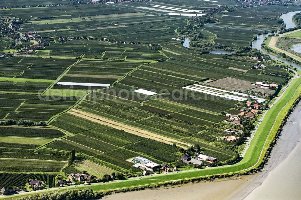 Jork from the bird's eye view: Structures of a field landscape Altes Land in Jork in the state Lower Saxony, Germany