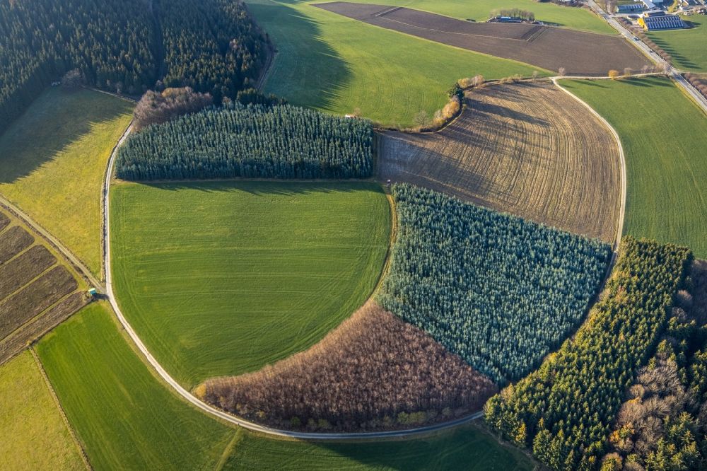 Aerial image Gellinghausen - Structures of a field landscape in Gellinghausen in the state North Rhine-Westphalia, Germany