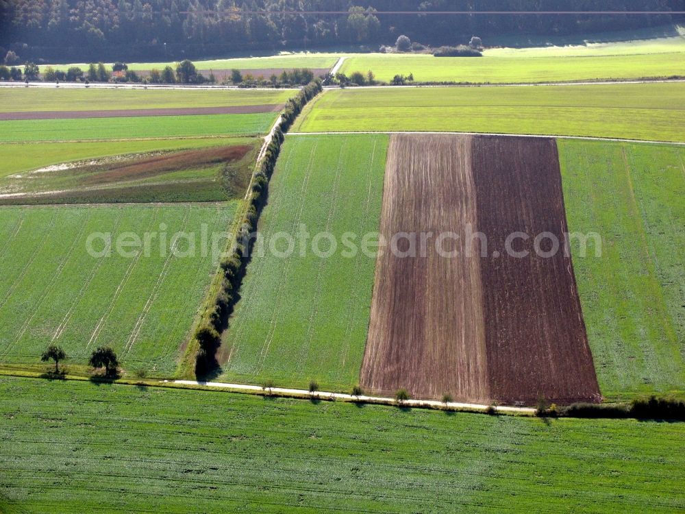 Aerial image Hohenfelden - Structures of a field landscape in Hohenfelden in the state Thuringia