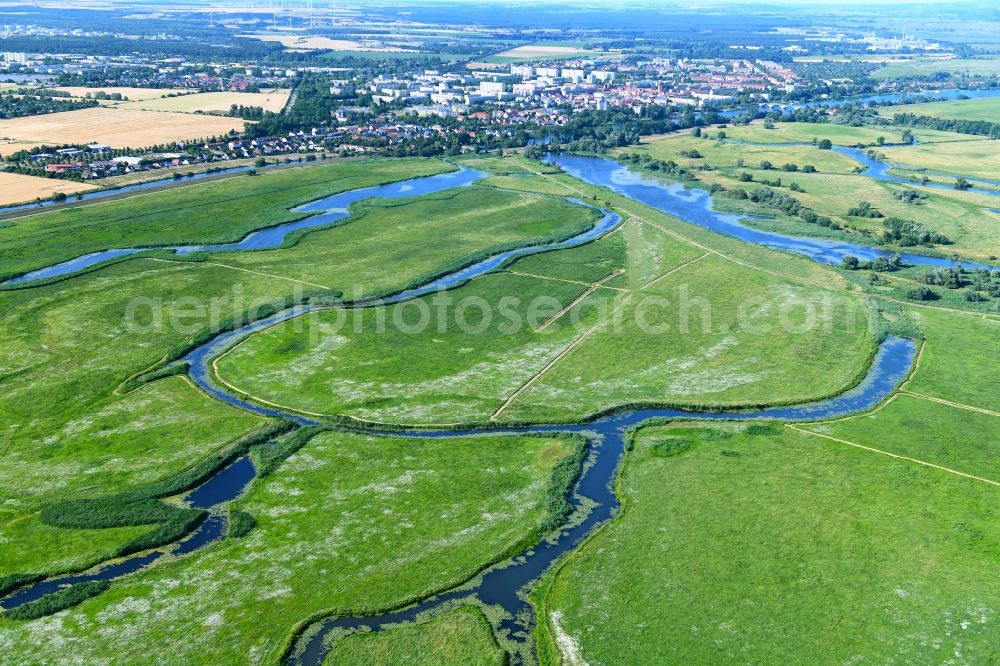 Aerial photograph Schwedt/Oder - Structures of a field landscape of Nationalpark Unteres Odertal in Schwedt/Oder in the state Brandenburg, Germany