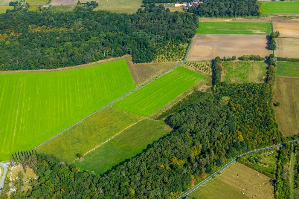 Aerial photograph Hamm - Structures of a field landscape in the district Norddinker in Hamm in the state North Rhine-Westphalia, Germany