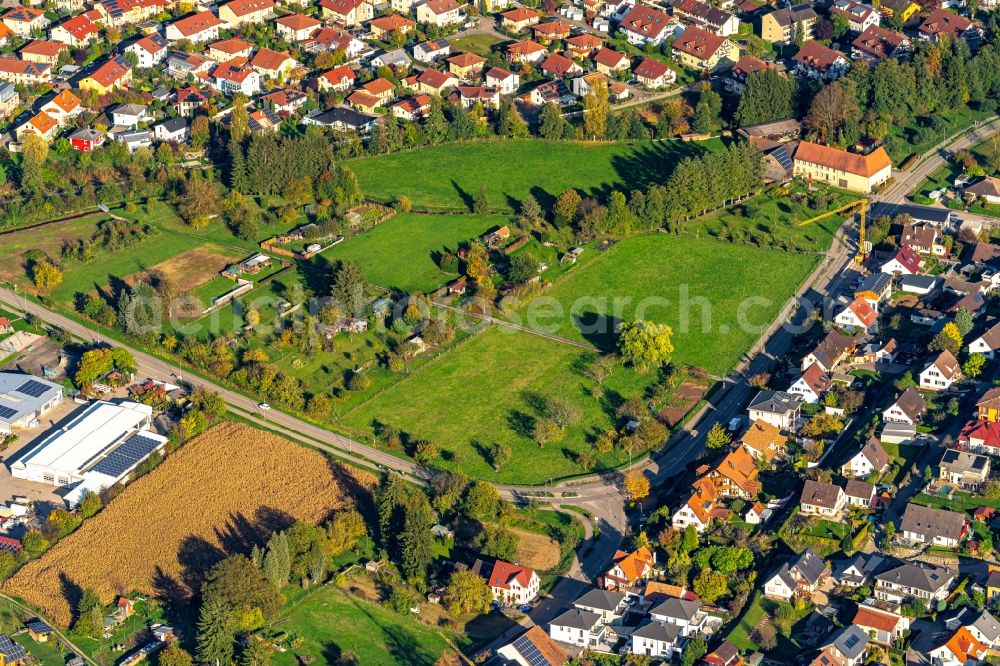 Ettenheim from the bird's eye view: Structures of a field landscape Stadtbereich of Espen in Ettenheim in the state Baden-Wurttemberg, Germany