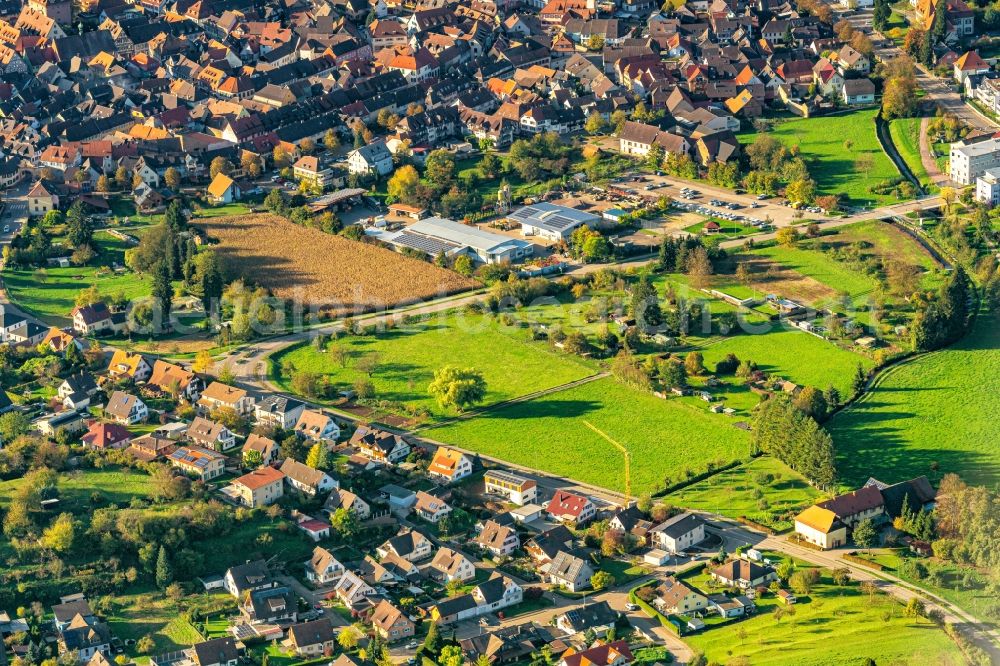 Aerial image Ettenheim - Structures of a field landscape Stadtbereich of Espen in Ettenheim in the state Baden-Wurttemberg, Germany