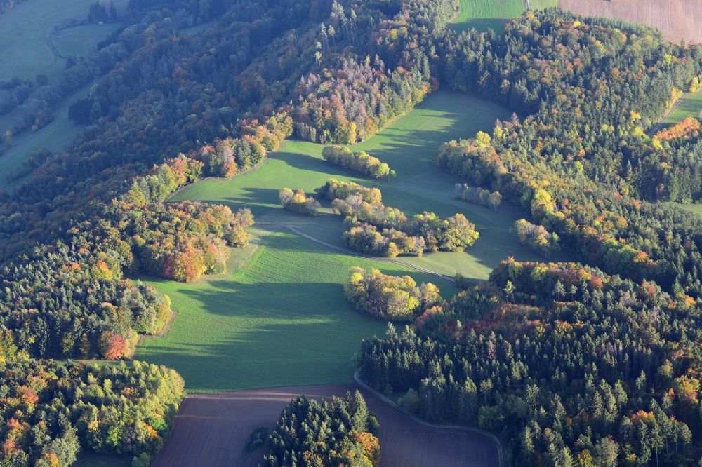 Aerial image Stühlingen - Fores surrounded structures of a field landscape in Stuehlingen in the state Baden-Wurttemberg, Germany