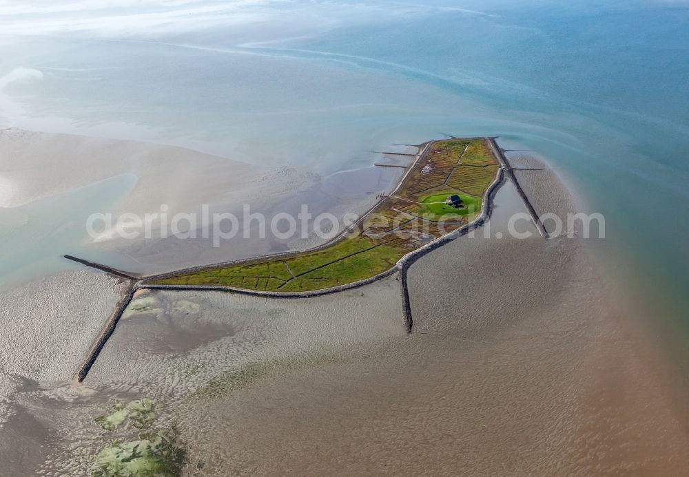 Hallig Habel from the bird's eye view: Green space structures a Hallig Landscape in Habel in the state Schleswig-Holstein, Germany