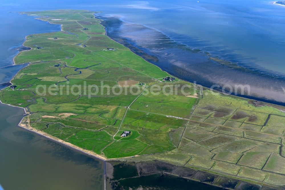Aerial photograph Langeneß - Green space structures a Hallig Landscape in Langeness in the state Schleswig-Holstein