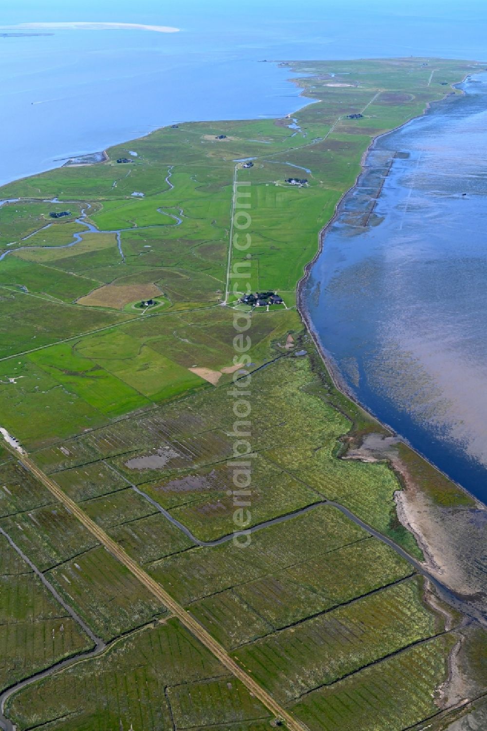 Aerial photograph Langeneß - Green space structures a Hallig Landscape in Langeness in the state Schleswig-Holstein