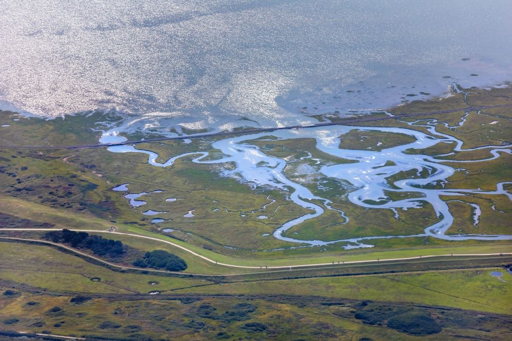 Langeoog from the bird's eye view: Green space structures a Hallig Landscape in Langeoog in the state Lower Saxony