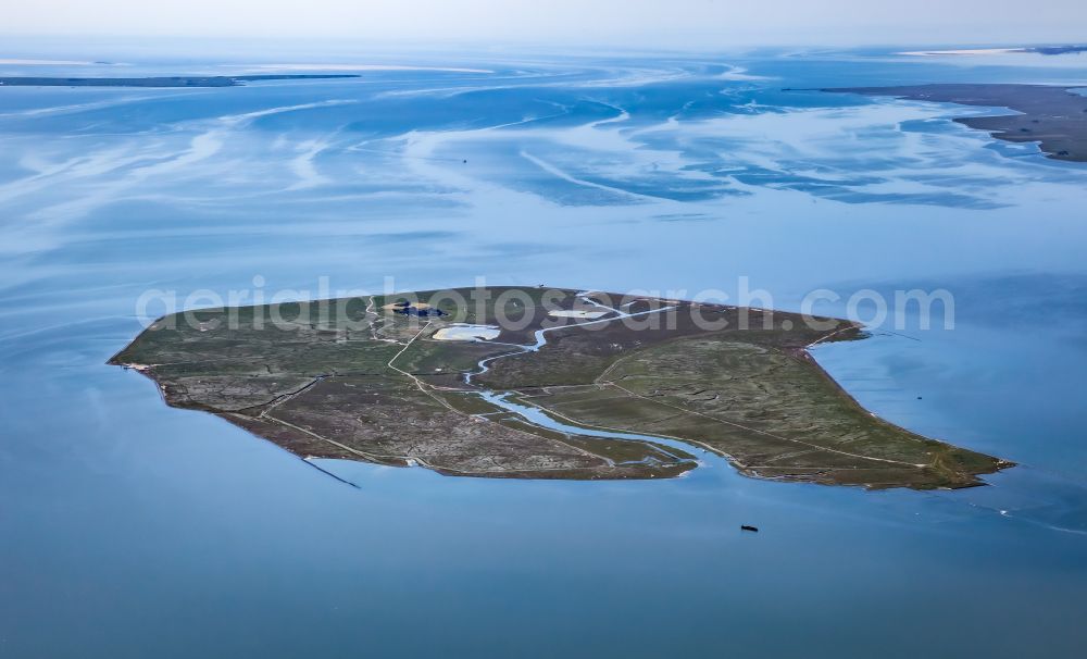 Aerial photograph Gröde - Green space structures a Hallig Landscape of north sea in Groede in the state Schleswig-Holstein, Germany