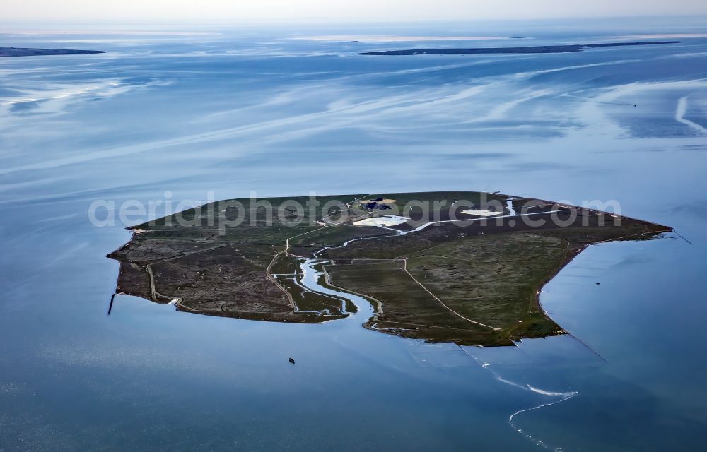 Gröde from above - Green space structures a Hallig Landscape of north sea in Groede in the state Schleswig-Holstein, Germany