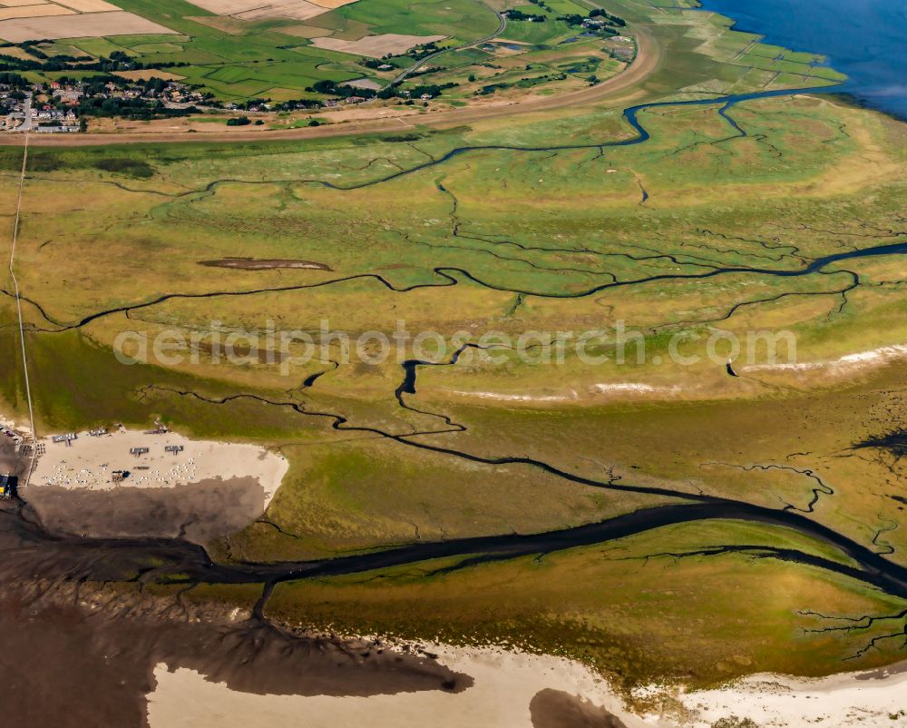 Westerhever from the bird's eye view: Grass area structures of a salt marsh landscape with tidal formation on street Suederdeich in Westerhever in the state Schleswig-Holstein, Germany