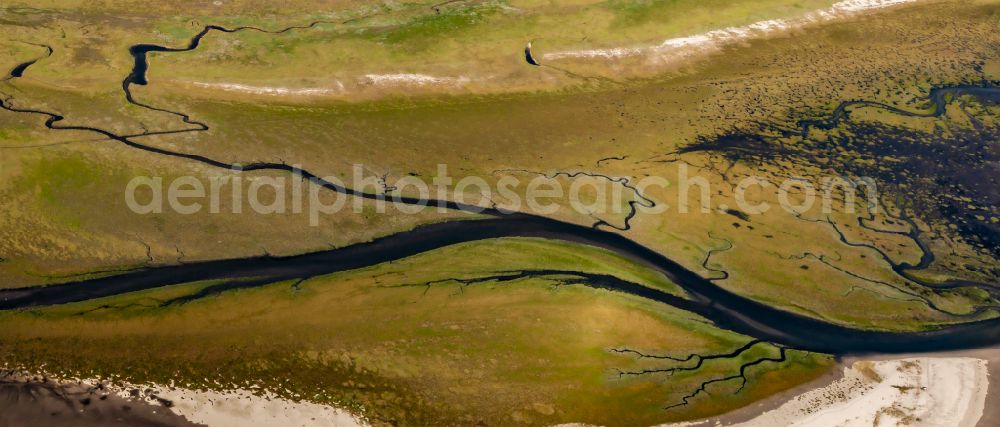 Aerial image Westerhever - Grass area structures of a salt marsh landscape with tidal formation on street Suederdeich in Westerhever in the state Schleswig-Holstein, Germany