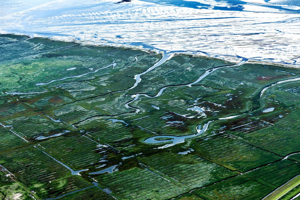 Aerial image Norderney - Grassland structures of a salt marsh landscape on the south side of the island of Norderney in the state of Lower Saxony, Germanyy