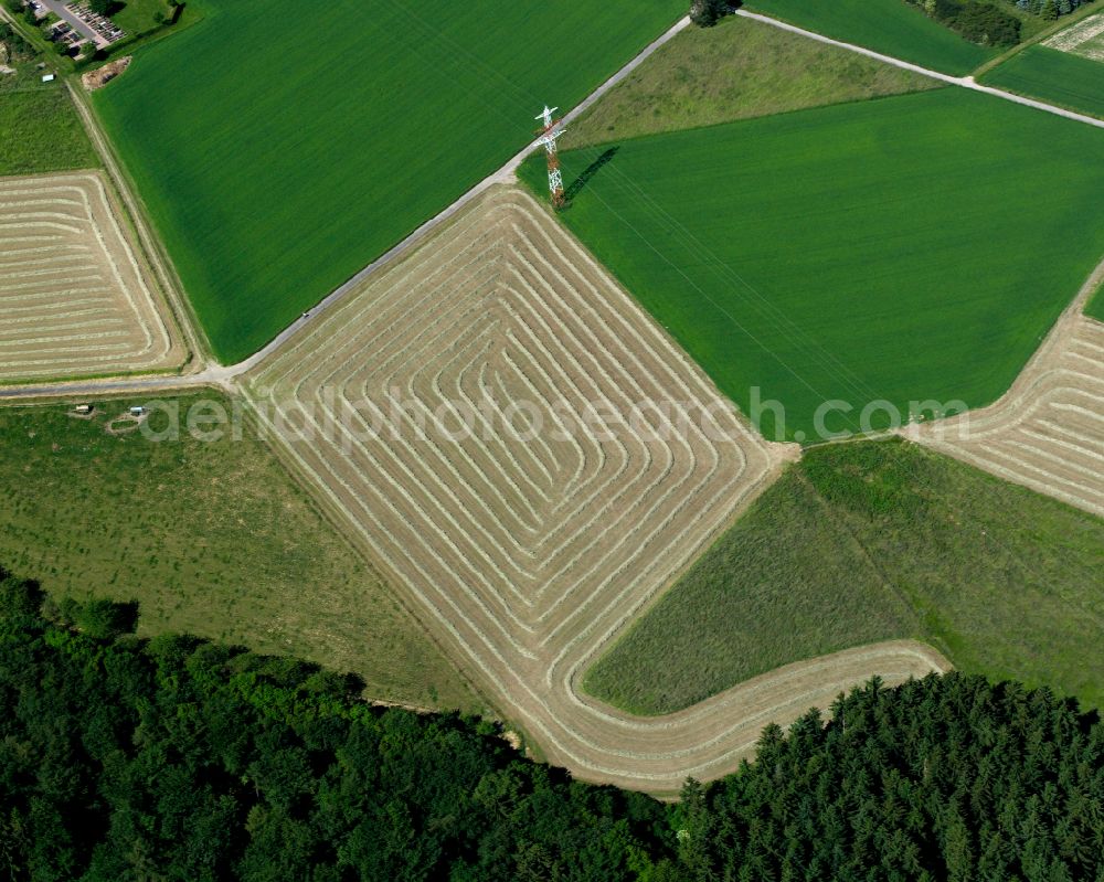 Holzfeld from above - Freshly mowed rows and lines of mowed grass in fields in Holzfeld in the state Rhineland-Palatinate, Germany