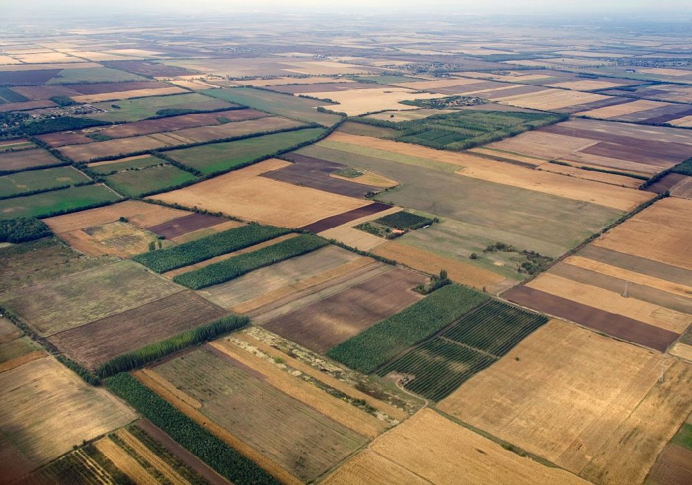 Nagyhalasz from the bird's eye view: View at the great Hungarian Plain / Puszta near Nagyhalász in the county / Komitat Szabolcs-Szatmár-Bereg in Hungary
