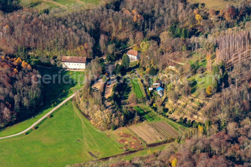 Ihringen from above - Building and manor house of the farmhouse in Ihringen in the state Baden-Wurttemberg, Germany
