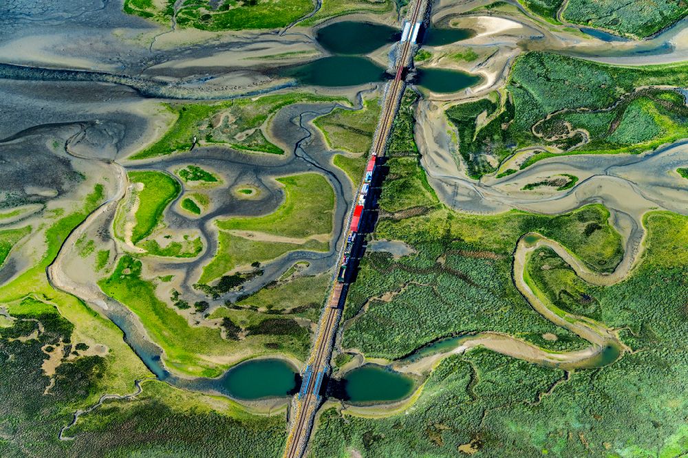 Wangerooge from the bird's eye view: Grassland structures of a Hallig landscape with moving train of the Wangerooger Inselbahn - narrow-gauge railway in Wangerooge in the state Lower Saxony, Germany
