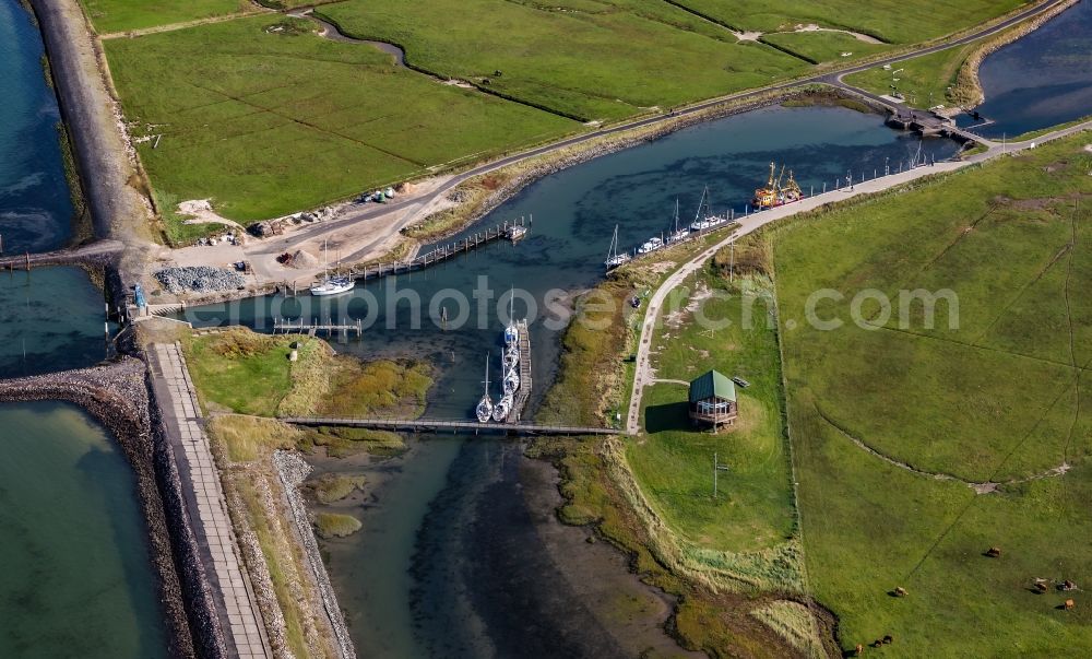 Aerial image Hooge - Green space structures a Hallig Landscape and boat harbor in Hooge in the state Schleswig-Holstein, Germany