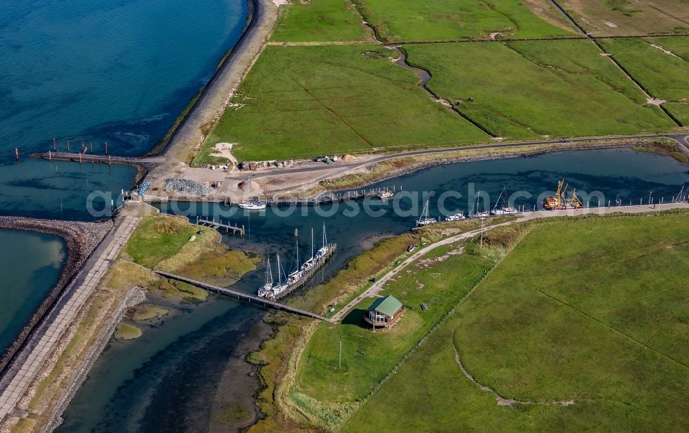 Aerial photograph Hooge - Green space structures a Hallig Landscape and boat harbor in Hooge in the state Schleswig-Holstein, Germany