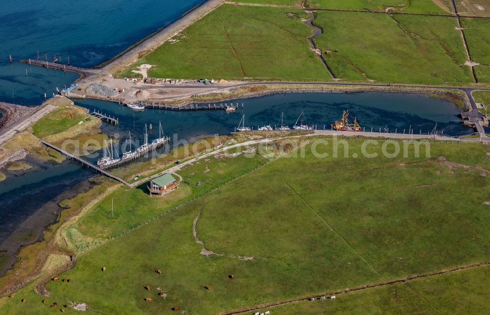 Hooge from above - Green space structures a Hallig Landscape and boat harbor in Hooge in the state Schleswig-Holstein, Germany