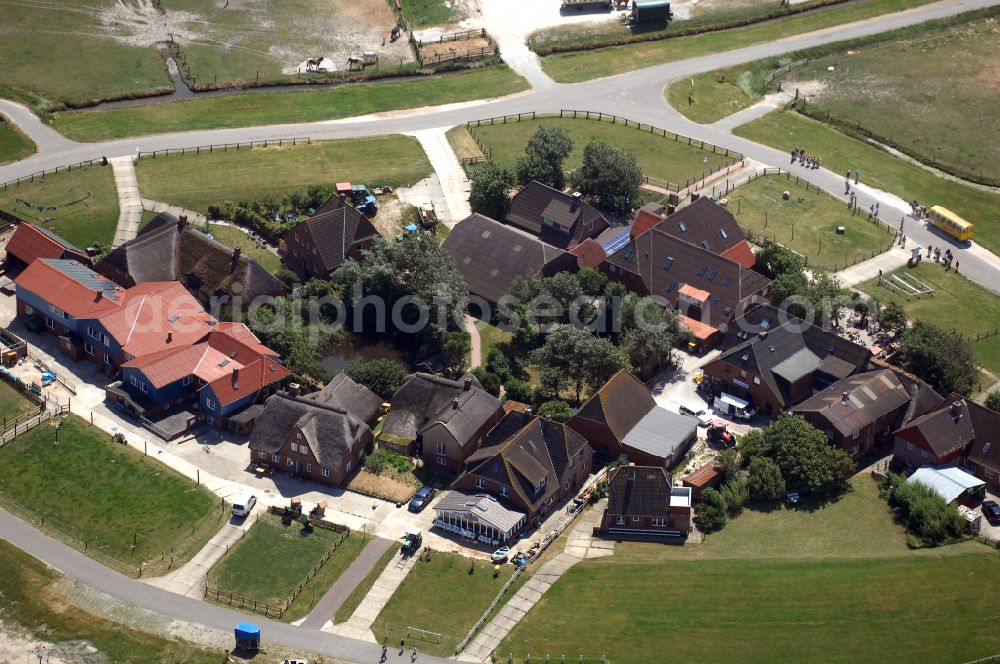 Hooge from the bird's eye view: Green space structures a Hallig Landscape on street Hanswarft in Hooge North Friesland in the state Schleswig-Holstein, Germany
