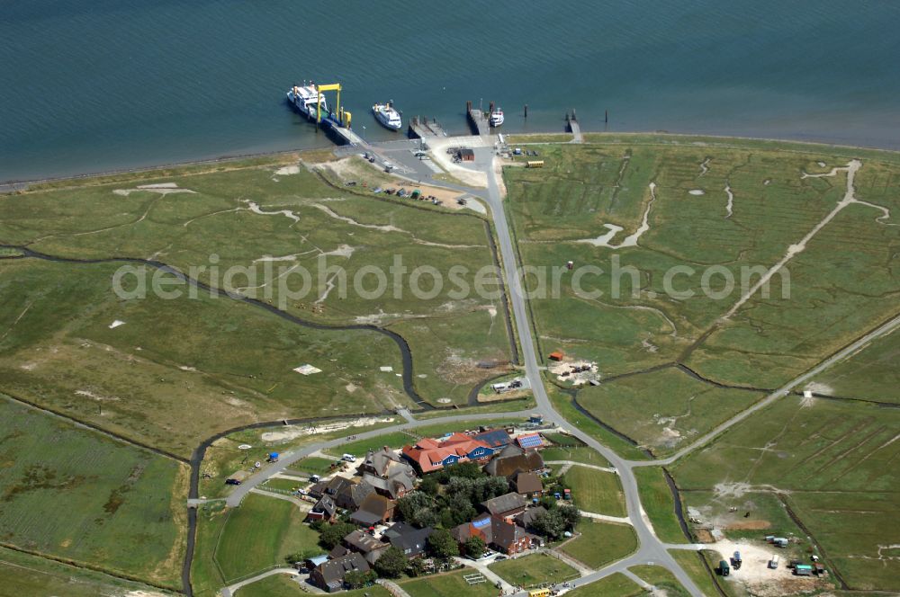 Hooge from the bird's eye view: Green space structures a Hallig Landscape on street Hanswarft in Hooge North Friesland in the state Schleswig-Holstein, Germany