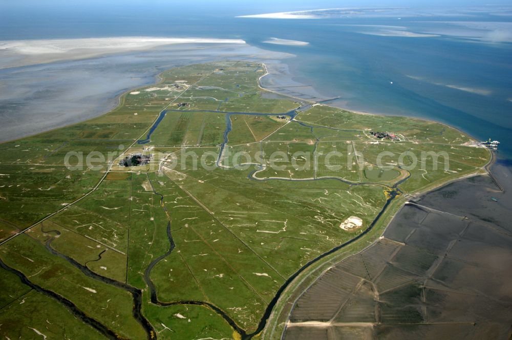 Aerial photograph Hooge - Green space structures a Hallig Landscape on street Hanswarft in Hooge North Friesland in the state Schleswig-Holstein, Germany