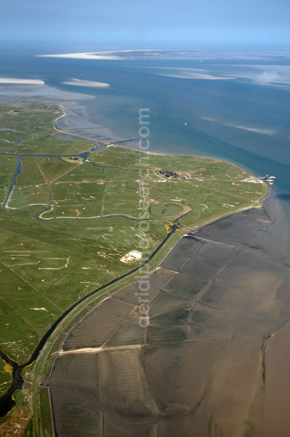 Hooge from above - Green space structures a Hallig Landscape on street Hanswarft in Hooge North Friesland in the state Schleswig-Holstein, Germany
