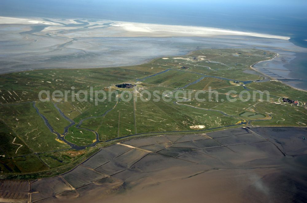 Aerial image Hooge - Green space structures a Hallig Landscape on street Hanswarft in Hooge North Friesland in the state Schleswig-Holstein, Germany