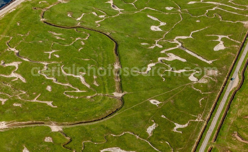 Aerial image Langeneß - Green space structures a Hallig Landscape in Langeness North Frisia in the state Schleswig-Holstein, Germany