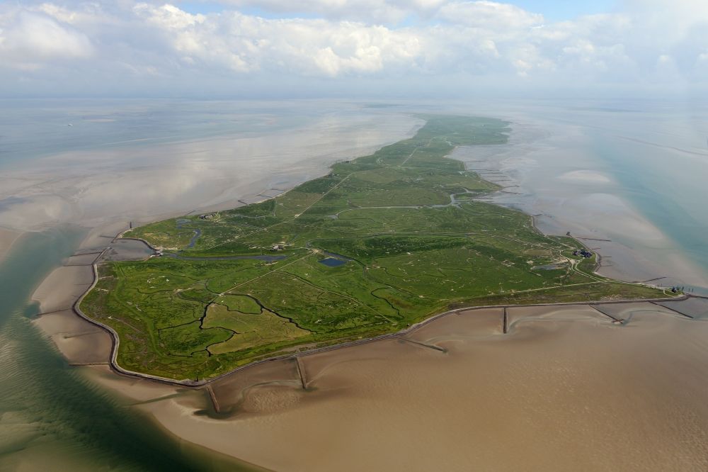 Aerial photograph Langeneß - Green space structures a Hallig Landscape the North Sea island in Langeness North Friesland in the state Schleswig-Holstein, Germany