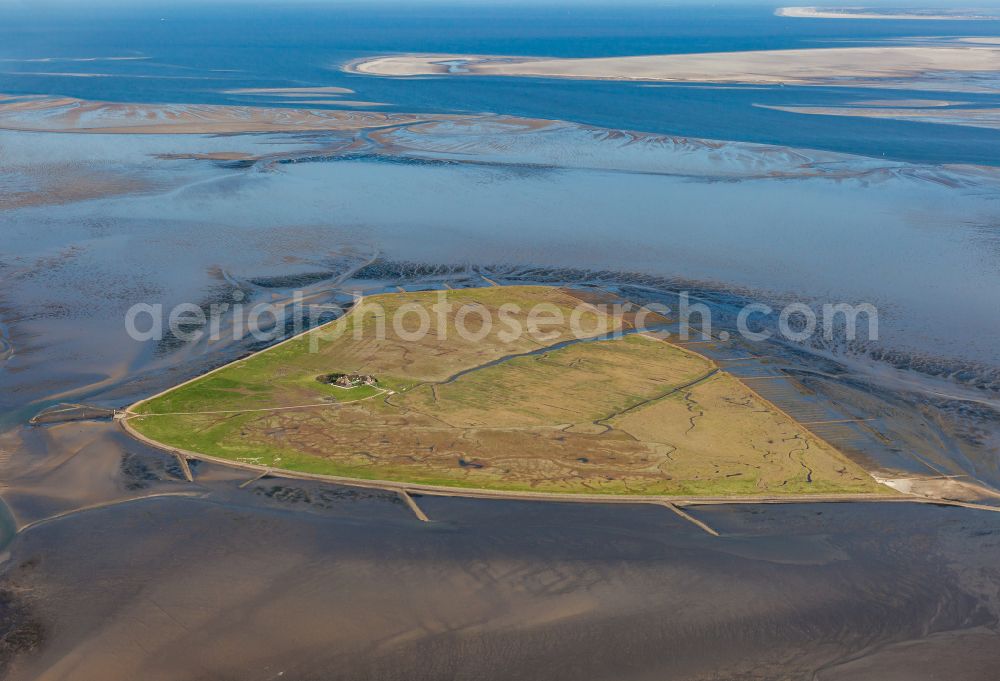 Pellworm from the bird's eye view: Green space structures a Hallig Landscape Suederoog in Pellworm North Friesland in the state Schleswig-Holstein, Germany