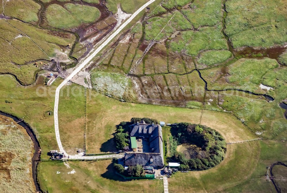 Aerial photograph Pellworm - Green space structures a Hallig Landscape Suederoog in Pellworm North Friesland in the state Schleswig-Holstein, Germany
