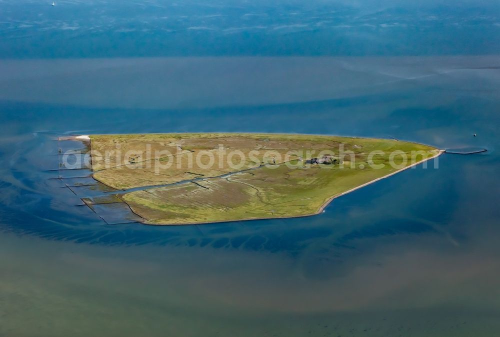 Aerial image Pellworm - Grassy structures of the Hallig landscape Suederoog in Pellworm Nordfriesland in the state Schleswig-Holstein, Germany
