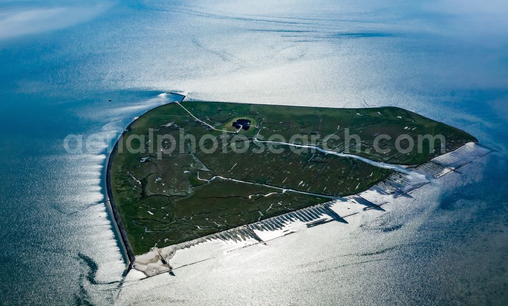 Aerial photograph Pellworm - Grassy structures of the Hallig landscape Suederoog in Pellworm Nordfriesland in the state Schleswig-Holstein, Germany