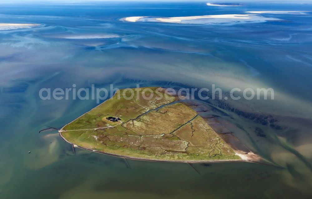 Pellworm from above - Grassy structures of the Hallig landscape Suederoog in Pellworm Nordfriesland in the state Schleswig-Holstein, Germany