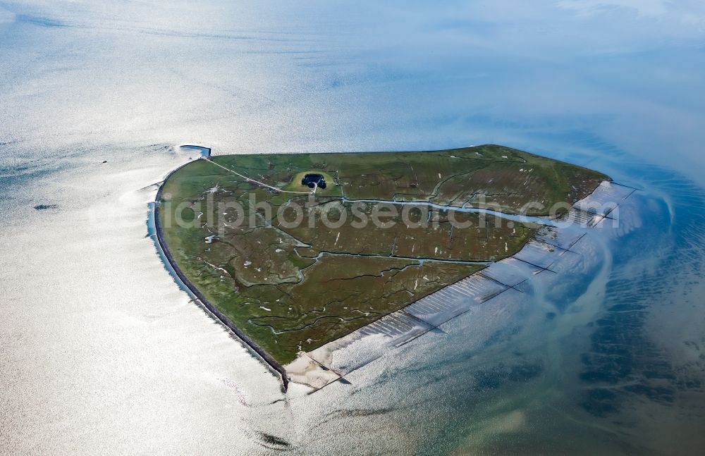 Aerial photograph Pellworm - Grassy structures of the Hallig landscape Suederoog in Pellworm Nordfriesland in the state Schleswig-Holstein, Germany