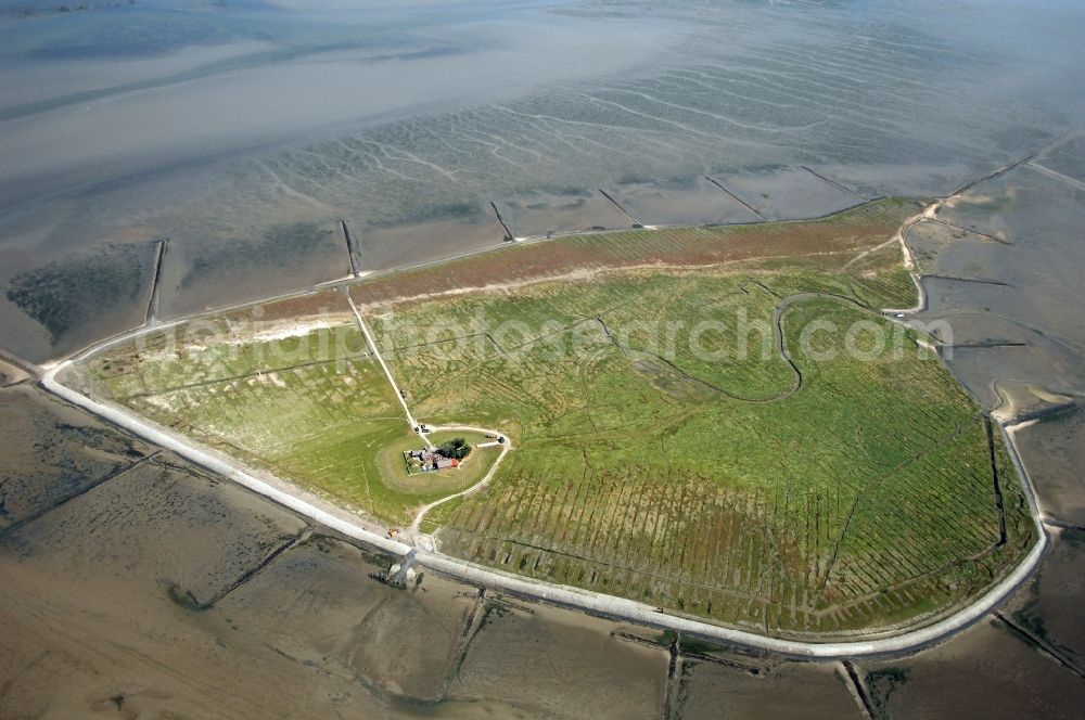 Pellworm from the bird's eye view: Hallig Suedfall in Pellworm in Schleswig-Holstein. Wadden Sea at low tide. Top Pellworm