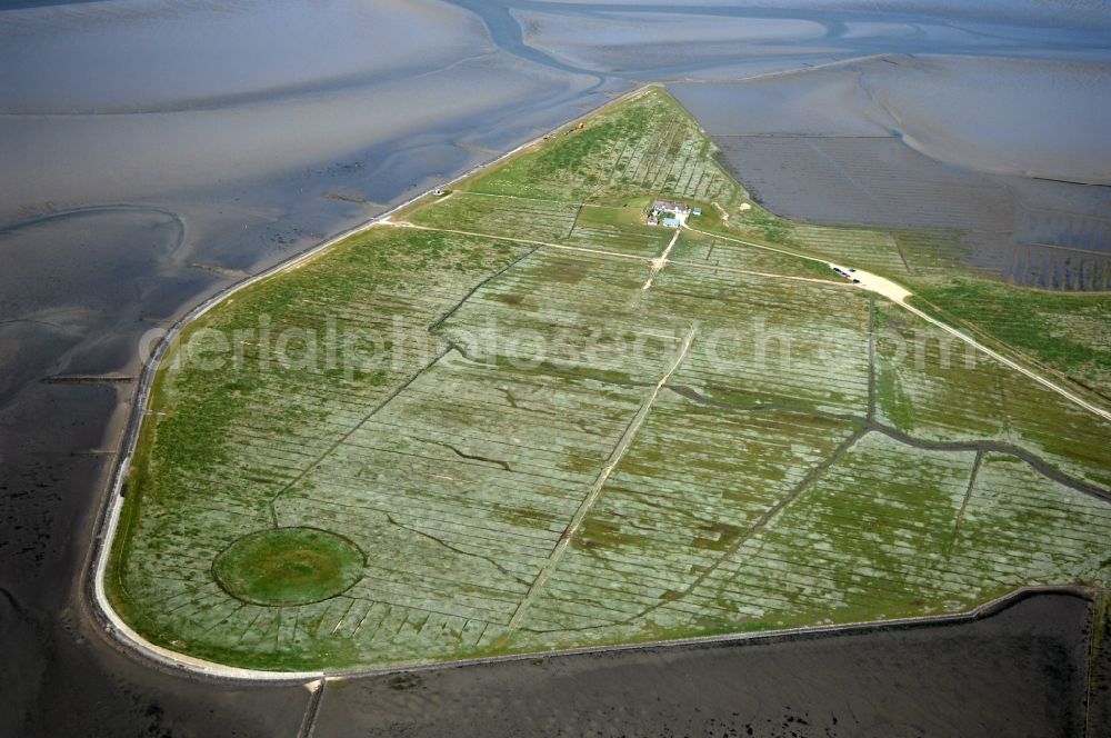 Aerial photograph Reußenköge - Green space structures a Hallig Landscape in Reussenkoege in the state Schleswig-Holstein, Germany