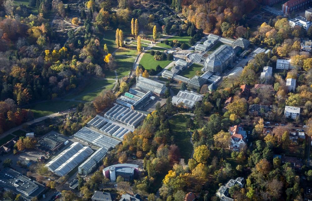 Aerial photograph Berlin - Main building and greenhouse complex of the Botanical Gardens Berlin-Dahlem in Berlin. The historical glass buildings and greenhouses are dedicated to different areas. The Large Tropical House and the Victoria-House are located in the center