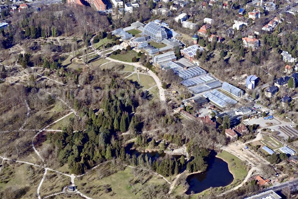 Aerial photograph Berlin - Main building and greenhouse complex of the Botanical Gardens Berlin-Dahlem in Berlin. The historical glass buildings and greenhouses are dedicated to different areas. The Large Tropical House and the Victoria-House are located in the center