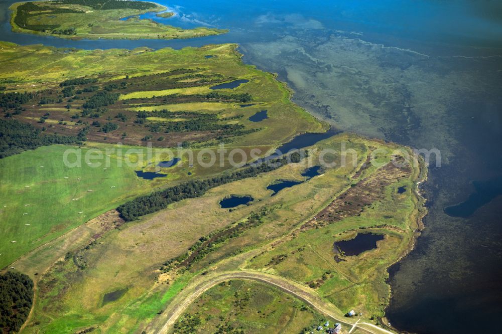 Insel Hiddensee from above - Heathland landscape Duenenheide in Insel Hiddensee in the state Mecklenburg - Western Pomerania, Germany