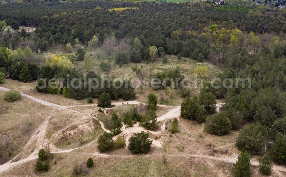 Aerial photograph Münchehofe - Heathland landscape in Muenchehofe in the state Brandenburg, Germany