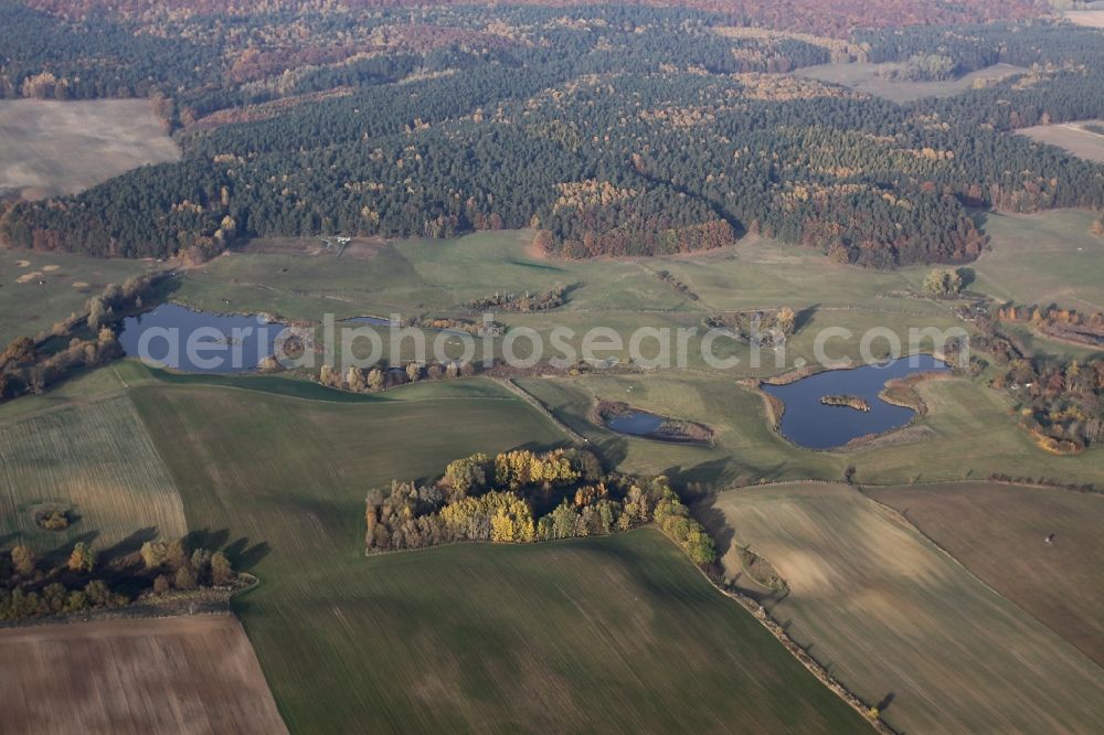 Aerial photograph Lichterfelde - Heathland landscape Naturschutzgebiet Buckowseerinne near Lichterfelde in the state Brandenburg