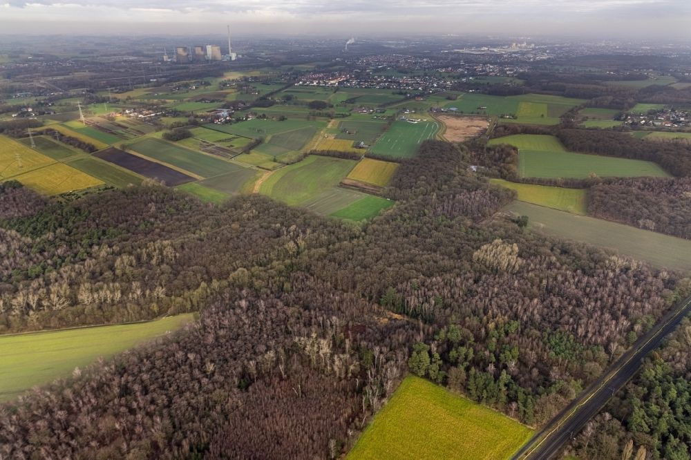 Aerial photograph Rünthe - Heathland landscape Sandbochumerheide in Ruenthe at Ruhrgebiet in the state North Rhine-Westphalia, Germany