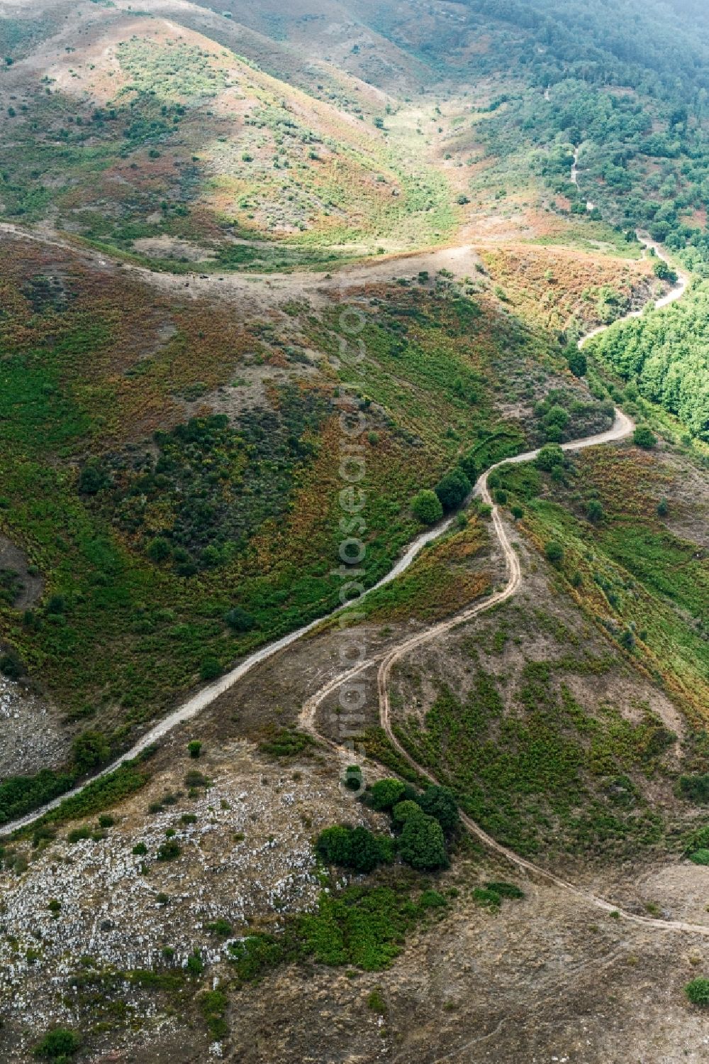Aerial photograph Sizilien - Heathland in the mountains of Nebrodi National Park in Sicily in Italy