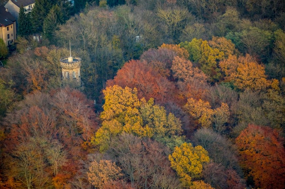 Witten from the bird's eye view: Autumnal discolored vegetation view tree tops in a deciduous forest - forest area in the urban area in Witten in the state North Rhine-Westphalia, Germany